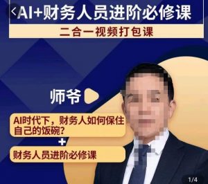 AI+财务人员进阶必修课二合一视频打包课，财务人员进阶必修课-淘金日记