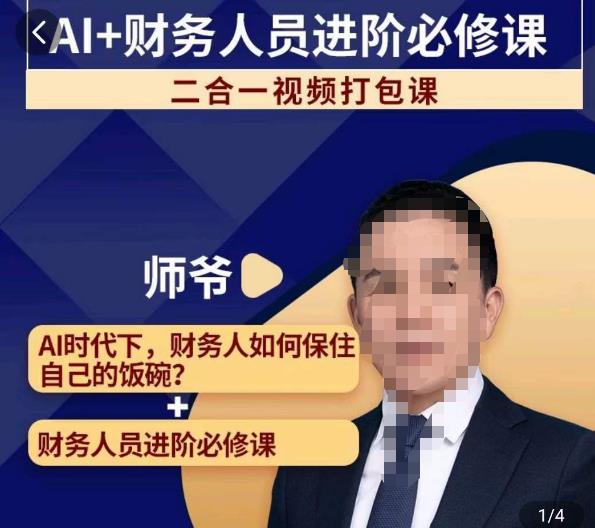 AI+财务人员进阶必修课二合一视频打包课,财务人员进阶必修课-淘金日记