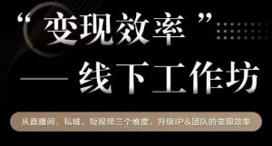 变现效率线下工作坊,从播直间、私域、视短频个三维度,升级IP和团队变现效率-淘金日记