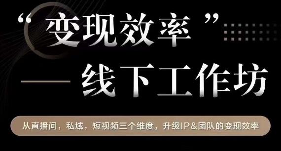 变现效率线下工作坊，从‮播直‬间、私域、‮视短‬频‮个三‬维度，升级IP和团队变现效率-淘金日记