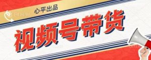 视频号带货好物分享2.0,看完以后可以直接开干了【揭秘】-淘金日记