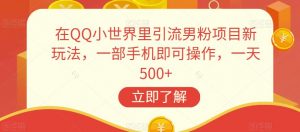 在QQ小世界里引流男粉项目新玩法，一部手机即可操作，一天500+【揭秘】-淘金日记