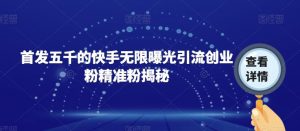 首发五千的快手无限曝光引流创业粉精准粉揭秘-淘金日记