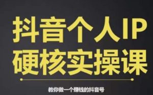 个人IP创富系统实战课，商业定位，流量打造，短视频变现，教你做个赚钱的抖音号-淘金日记