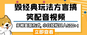 毁经典玩法方言搞笑配音视频，多种变现方式，小白轻松日入500+！-淘金日记