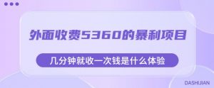 外面收费5360的暴利项目,几分钟就收一次钱是什么体验,附素材【揭秘】-淘金日记