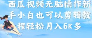 西瓜视频搞笑号，无脑操作新手小白也可月入6K-淘金日记