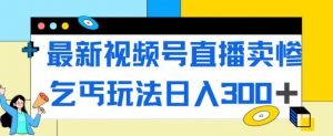 最新视频号直播卖惨乞讨玩法，流量嘎嘎滴，轻松日入300+-淘金日记