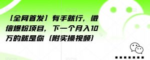 【全网首发】有手就行,微信爆粉项目,下一个月入10万的就是你(附实操视频)【揭秘】-淘金日记
