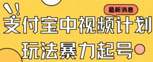支付宝中视频玩法暴力起号影视起号有播放即可获得收益（带素材）-淘金日记