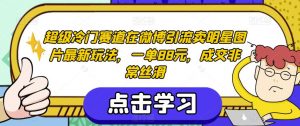 超级冷门赛道在微博引流卖明星图片最新玩法,一单88元,成交非常丝滑【揭秘】-淘金日记