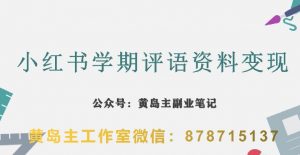 副业拆解：小红书学期评语资料变现项目，视频版一条龙实操玩法分享给你-淘金日记