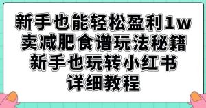 新手也能轻松盈利1w，卖减肥食谱玩法秘籍，新手也玩转小红书详细教程【揭秘】-淘金日记