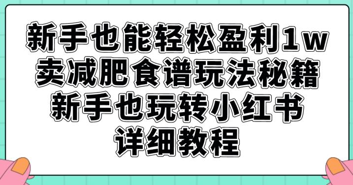 新手也能轻松盈利1w，卖减肥食谱玩法秘籍，新手也玩转小红书详细教程【揭秘】-淘金日记