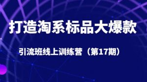 打造淘系标品大爆款引流班线上训练营（第17期）5天直播授课-淘金日记