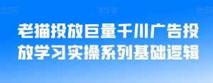 老猫投放巨量千川广告投放学习实操系列基础逻辑-淘金日记