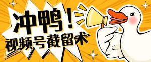 全球首发-视频号无限截留术-你不知道的流量沃土-淘金日记