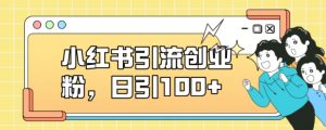小红书引流创业粉，日引100+【揭秘】-淘金日记