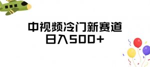 中视频冷门新赛道，做的人少，三天之内必起号，日入500+【揭秘】-淘金日记