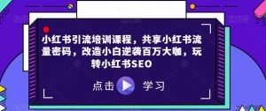 小红书引流培训课程,共享小红书流量密码,改造小白逆袭百万大咖,玩转小红书SEO-淘金日记