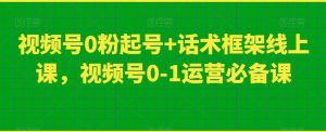 视频号0粉起号+话术框架线上课,视频号0-1运营必备课-淘金日记