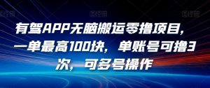 有驾APP无脑搬运零撸项目，一单最高100块，单账号可撸3次，可多号操作【揭秘】-淘金日记