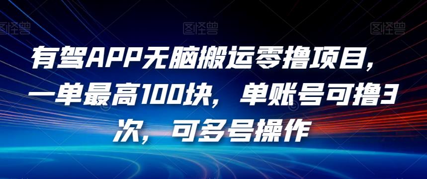 有驾APP无脑搬运零撸项目,一单最高100块,单账号可撸3次,可多号操作【揭秘】-淘金日记