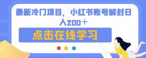 最新冷门项目，小红书账号解封日入200＋【揭秘】-淘金日记