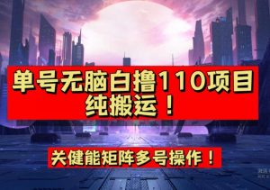 9月全网首发，单号直接白撸110！可多号操作，无脑搬运复制粘贴【揭秘】-淘金日记