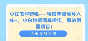小红书印钞机——号成单账号月入5k+，小白也能简单操作，解决刚需项目【揭秘】-淘金日记