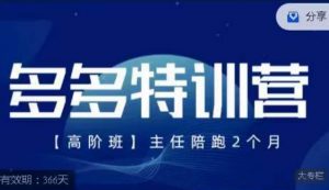 纪主任·多多特训营高阶班【9月13日更新】，拼多多最新玩法技巧落地实操-淘金日记