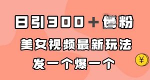 日引300＋男粉，美女视频最新玩法，发一个爆一个【揭秘】-淘金日记