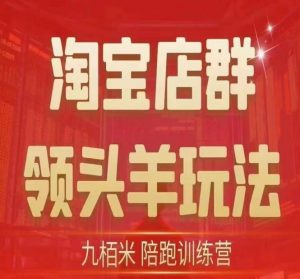 九栢米-淘宝店群领头羊玩法，教你整个淘宝店群领头羊玩法以及精细化/终极蓝海/尾销等内容-淘金日记