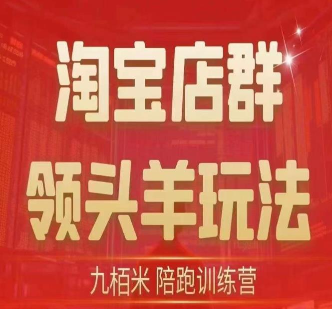 九栢米-淘宝店群领头羊玩法,教你整个淘宝店群领头羊玩法以及精细化/终极蓝海/尾销等内容-淘金日记