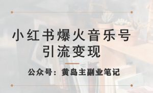 小红书爆火音乐号引流变现项目,视频版一条龙实操玩法分享给你-淘金日记