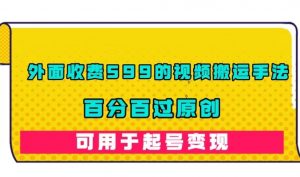 外面收费599的视频搬运手法，百分百过原创，可用起号变现【揭秘】-淘金日记