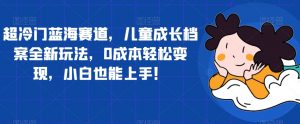 超冷门蓝海赛道，儿童成长档案全新玩法，0成本轻松变现，小白也能上手【揭秘】-淘金日记
