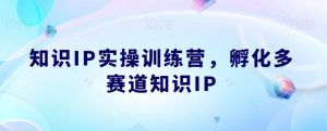 知识IP实操训练营，​孵化多赛道知识IP-淘金日记