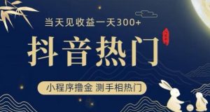 抖音最新小程序撸金,测手相上热门,当天见收益一小时变现300+【揭秘】-淘金日记