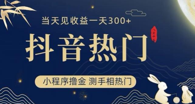 抖音最新小程序撸金，测手相上热门，当天见收益一小时变现300+【揭秘】-淘金日记
