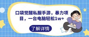 口袋觉醒私服手游,暴力项目,一台电脑轻松1w+【揭秘】-淘金日记
