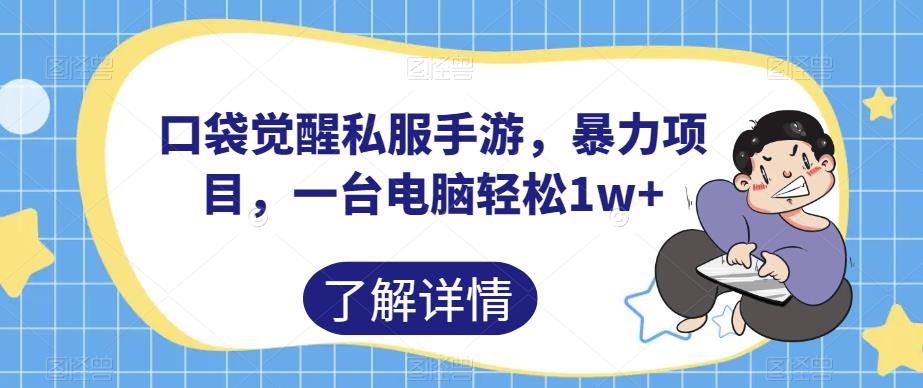 口袋觉醒私服手游,暴力项目,一台电脑轻松1w+【揭秘】-淘金日记