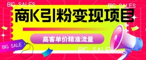商K引粉变现项目，高客单价精准流量【揭秘】-淘金日记