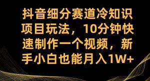 抖音细分赛道冷知识项目玩法,10分钟快速制作一个视频,新手小白也能月入1W+【揭秘】-淘金日记
