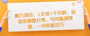 暴力项目,1天花1个小时,玩知识截图分享,引导私域变现,一月轻松过万【截图】-淘金日记