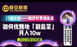 爱豆新媒：如何优雅地「割韭菜」月入10w的秘诀（2023年9月版）-淘金日记
