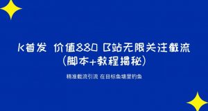 K首发价值880 B站无限关注截流精准引流（脚本+教程揭秘）-淘金日记
