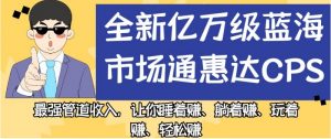 全新亿万级蓝海市场通惠达cps，最强管道收入，让你睡着赚、躺着赚、玩着赚、轻松赚【揭秘】-淘金日记