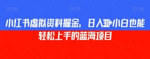 小红书虚拟资料掘金，日入300+小白也能轻松上手的蓝海项目【揭秘】-淘金日记