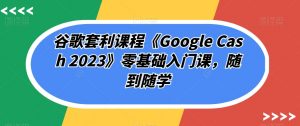 谷歌套利课程《Google Cash 2023》零基础入门课,随到随学-淘金日记